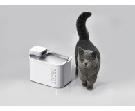 PetKit Pet Drinking Fountain inteligentne poidło dla zwierząt - 1606091 - zdjęcie 12